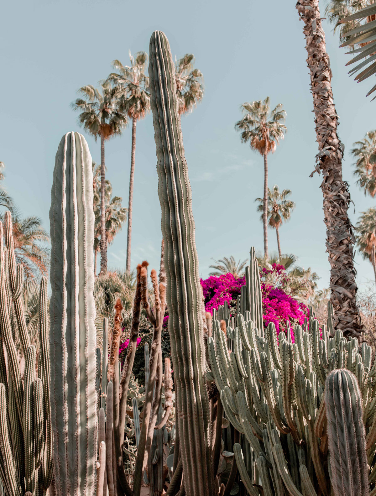 2-Top-things-to-do-in-marrakech-Bucket-list-kelseyinlondon-Kelsey-Heinrichs--What-to-do-in-marrakech--Where-to-go-in-marrakech-top-places-in-marrakech-le-jardin-majorelle