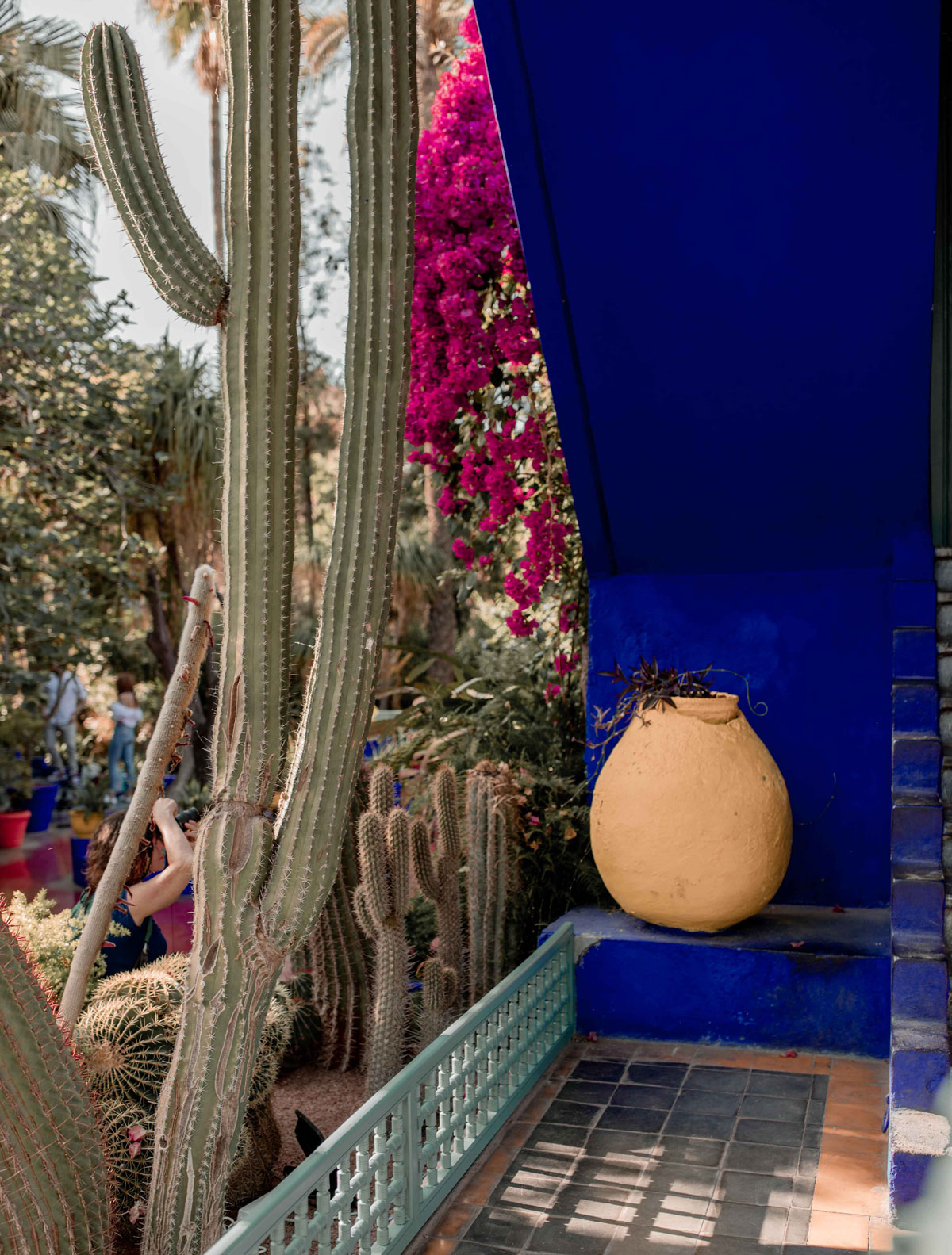 3-Top-things-to-do-in-marrakech-Bucket-list-kelseyinlondon-Kelsey-Heinrichs--What-to-do-in-marrakech--Where-to-go-in-marrakech-top-places-in-marrakech-le-jardin-majorelle