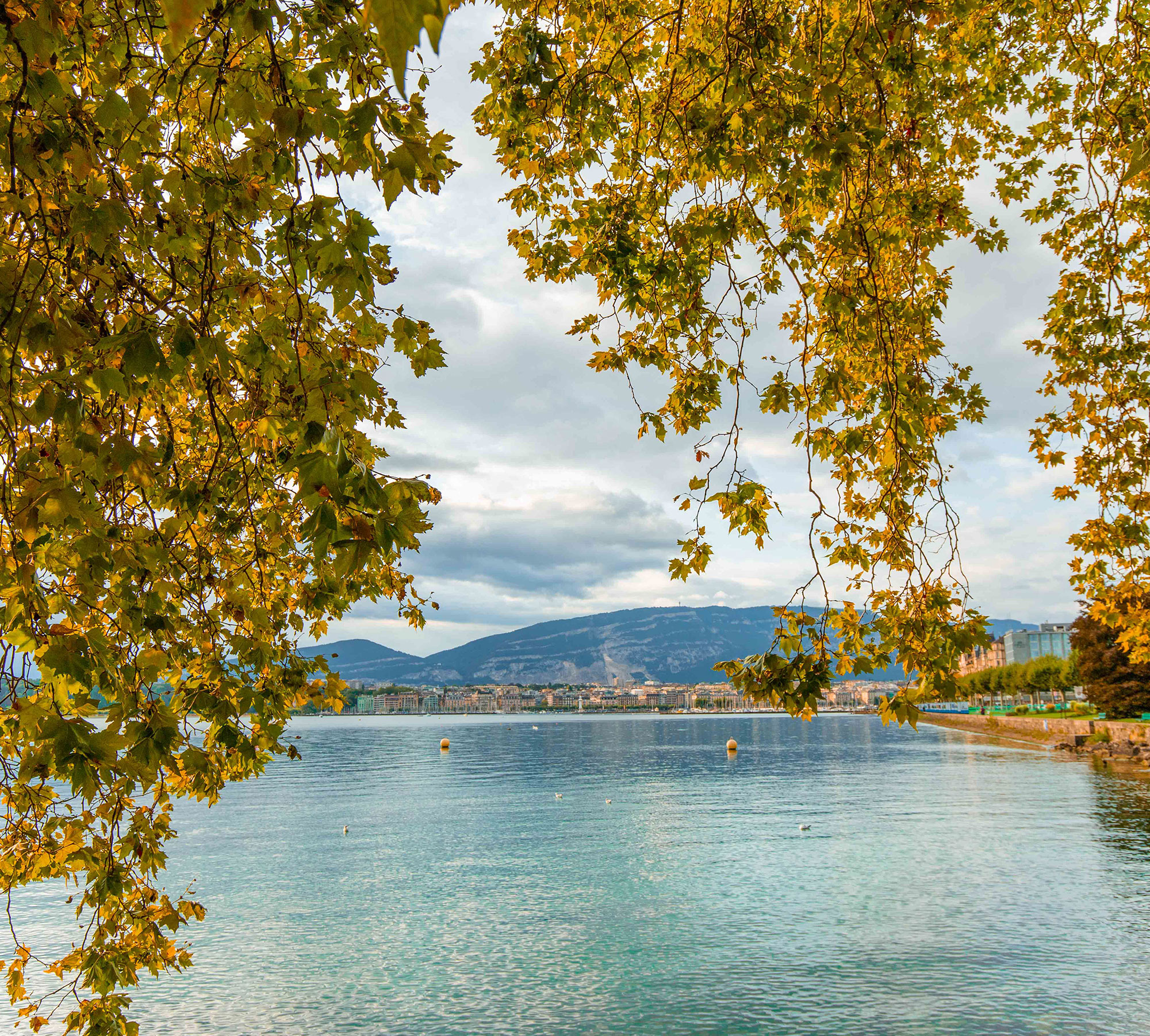 City Guide: Top things to do in Geneva