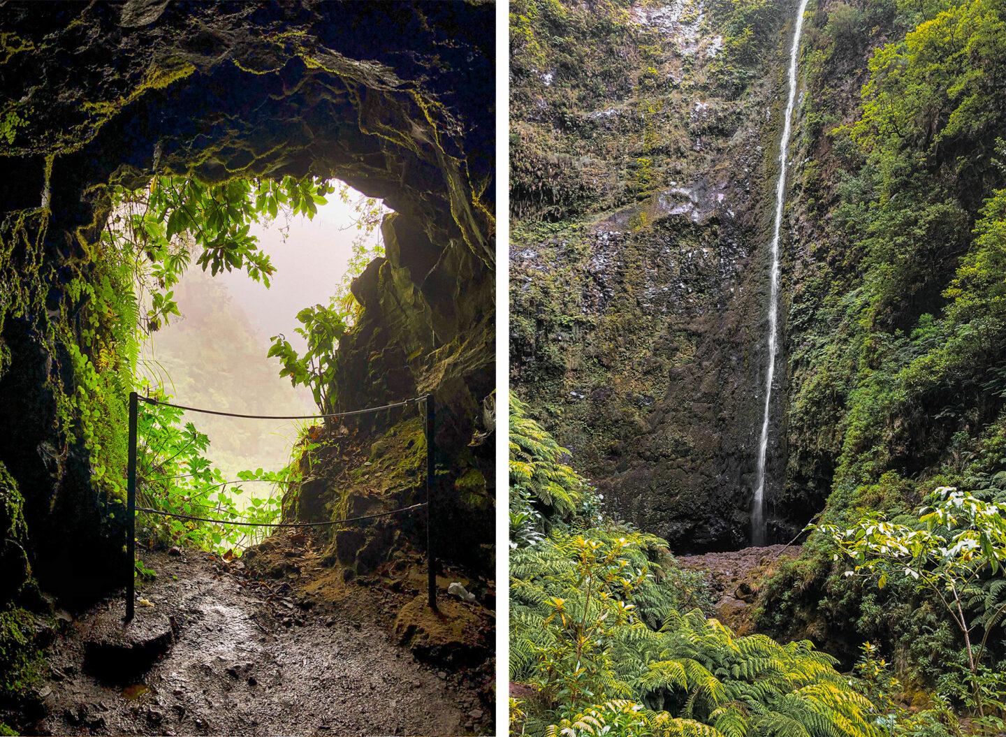 levada walk-Top-things-to-do-in-madeira-Bucket-list--Instagram-Story-Template--kelseyinlondon-Kelsey-Heinrichs--What-to-do-in-madeira--Where-to-go-in-madeira-top-places-in-madeira-