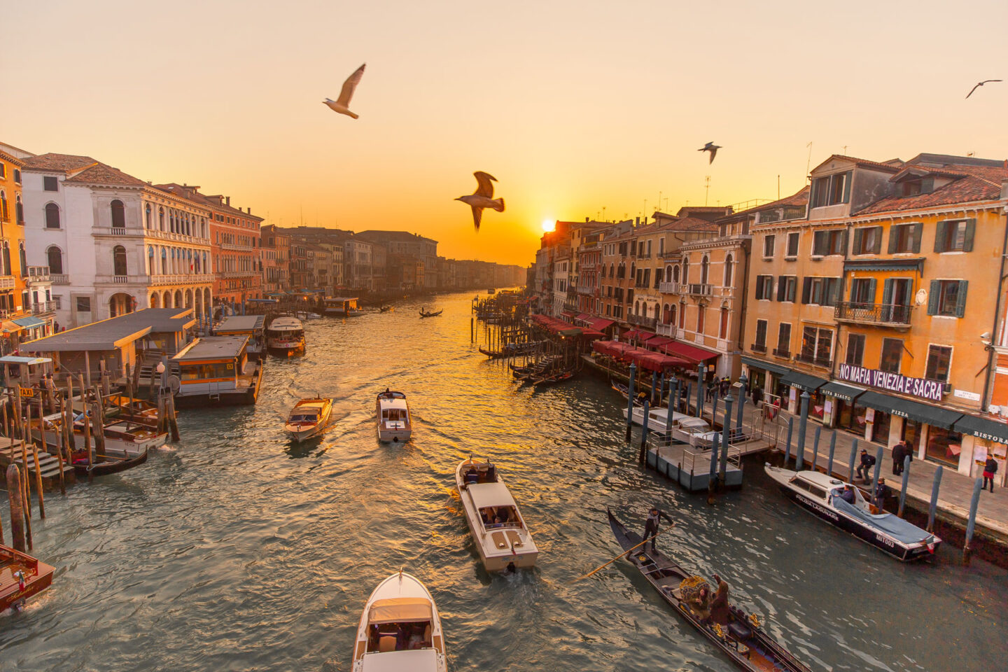 Venice: Grand Canal by Gondola with Live Commentary