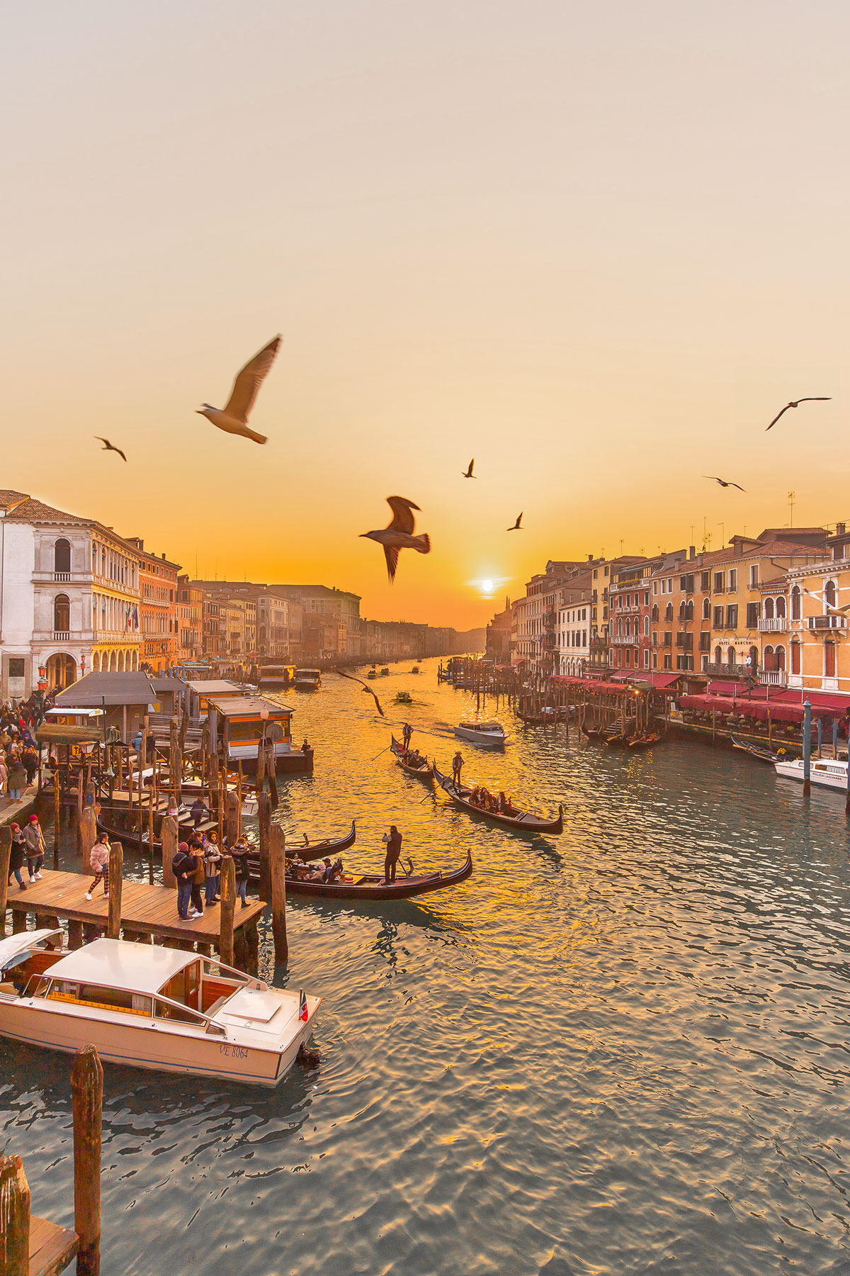 Venice City Guide: The best 10 things to do in Venice