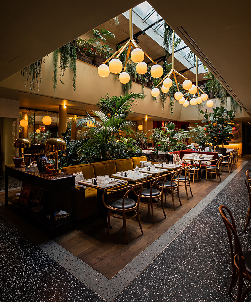 restaurant with lots of plants and hanging globe lights with a glass ceiling