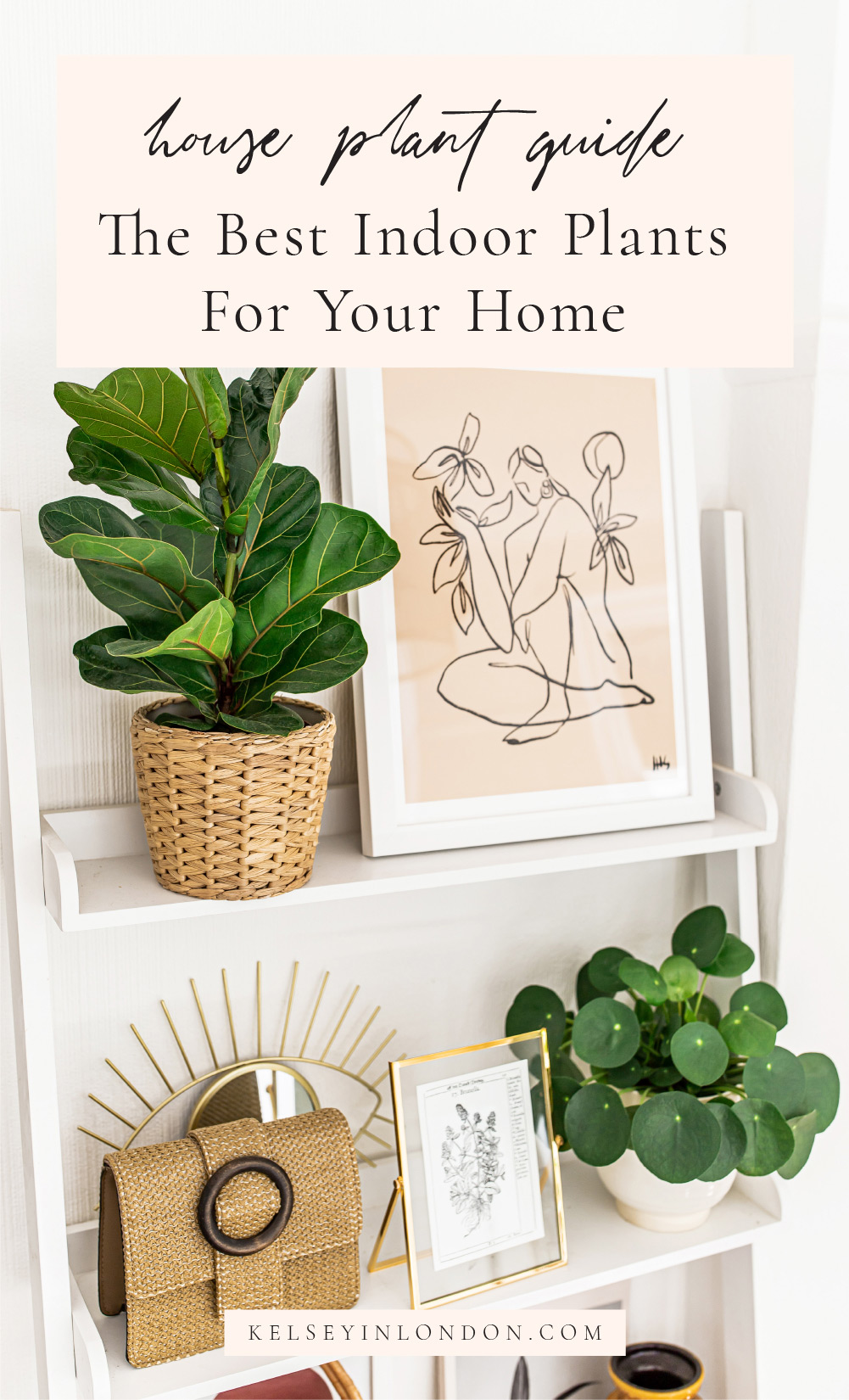 House Plant Guide – The Best Indoor Plants For Your Home – @kelseyinlondon – Kelsey Heinrichs – homewithkelsey
