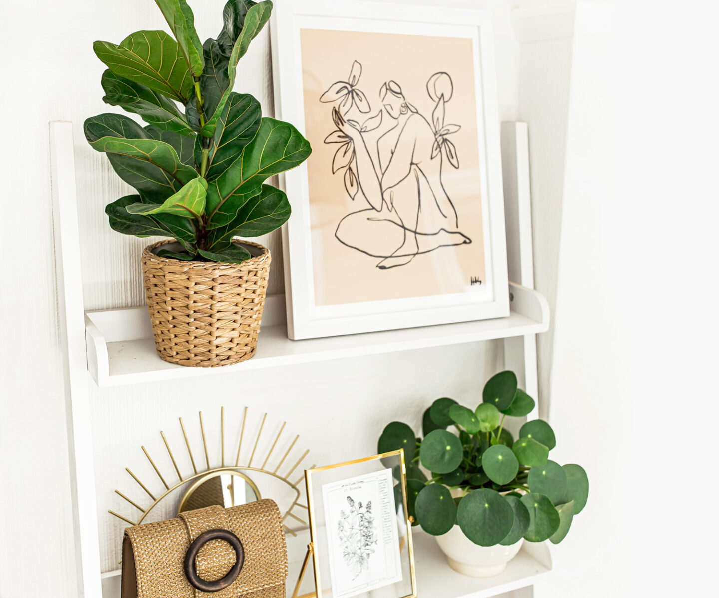 2-kelseyinlondon-homewithkelsey-plant-guide-best-indoor-plants