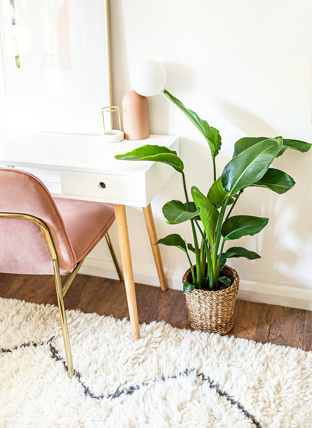 Bird-of-Paradise-Strelitzia-reginae-scandens-kelseyinlondon-homewithkelsey-plant-guide-best-indoor-plants