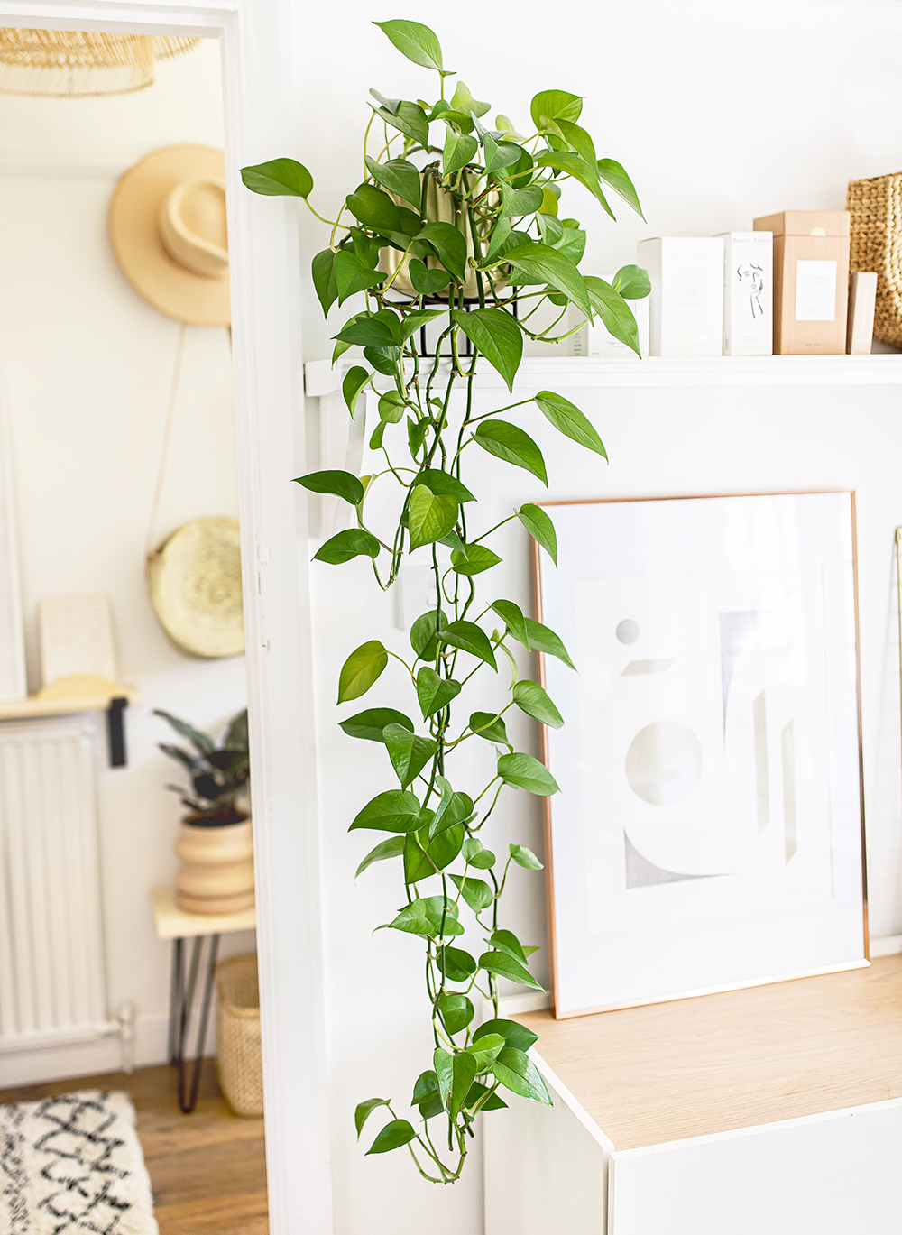 Green-Sweetheart-Plant-Philodendron-scandens-kelseyinlondon-homewithkelsey-plant-guide-best-indoor-plants