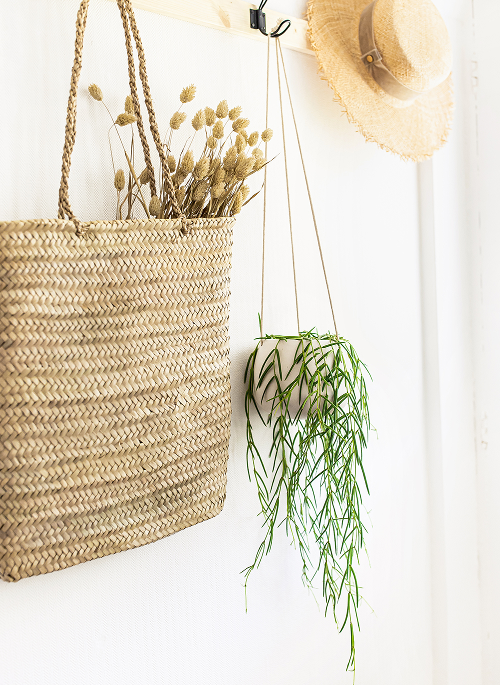 Hanging-Wax-Plant-Linear-Hoya--kelseyinlondon-homewithkelsey-plant-guide-best-indoor-plants