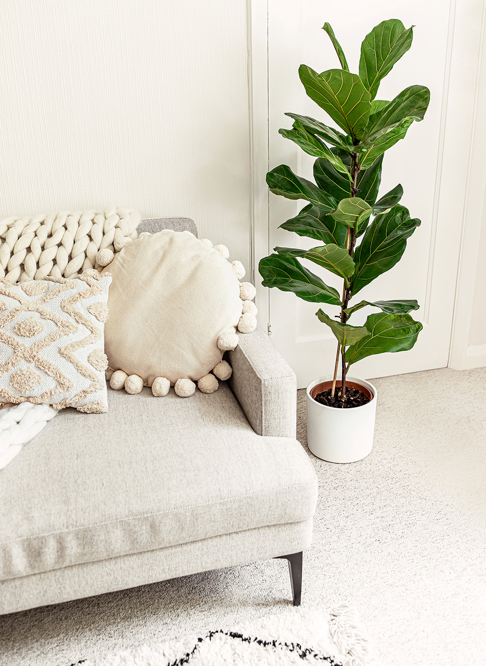 fiddle-leaf-fig-Ficus-lyrata-kelseyinlondon-homewithkelsey-plant-guide-best-indoor-plants