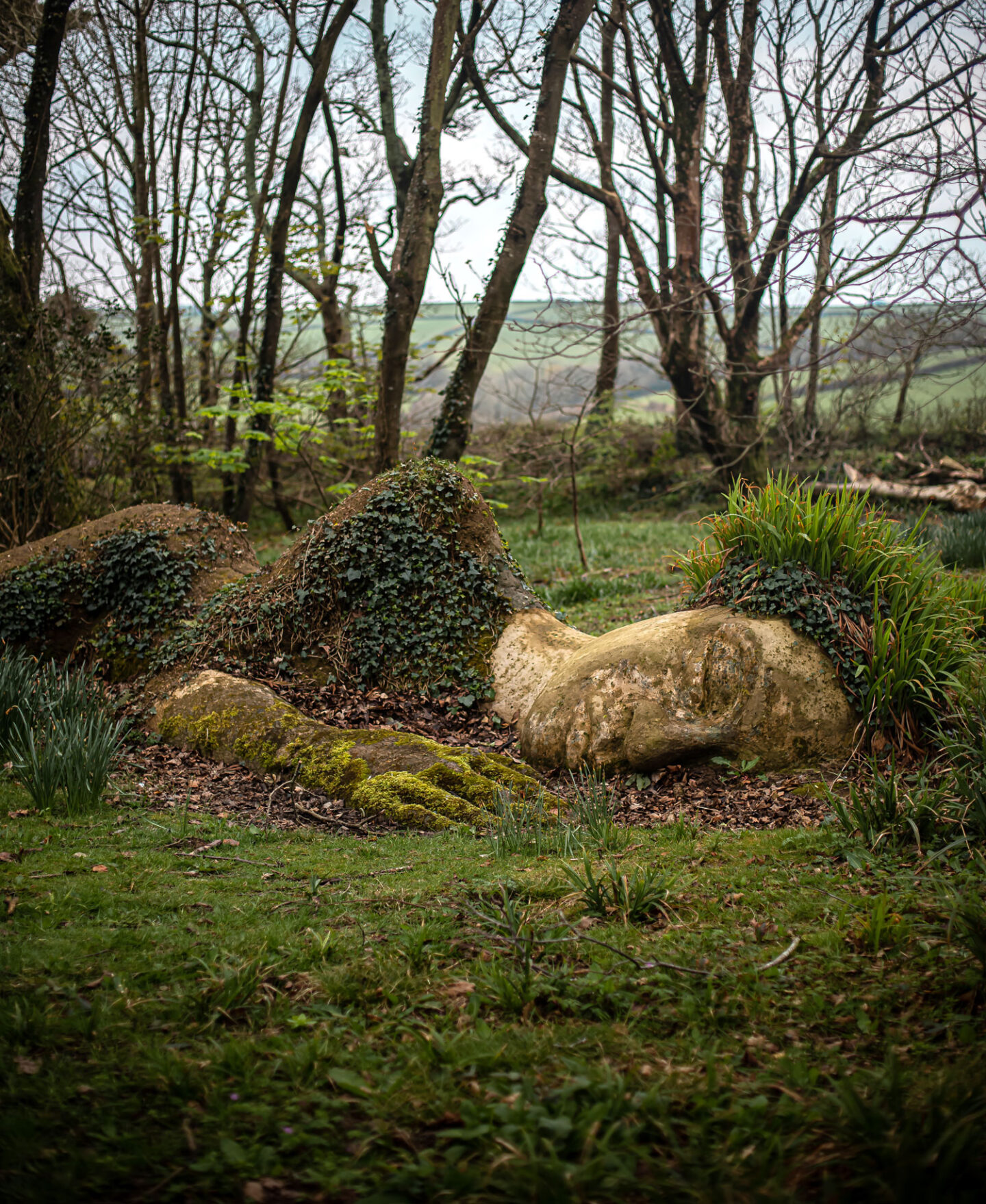 A whimsical sculpture of a reclining giant partially covered in moss and ivy, nestled among trees in a lush forest in Cornwall. The giant's face and hand are clearly visible, blending harmoniously with the surrounding natural landscape. The serene and magical setting evokes a sense of enchantment and curiosity.