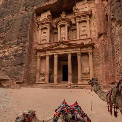 two camels in front of the treasury tomb in petra