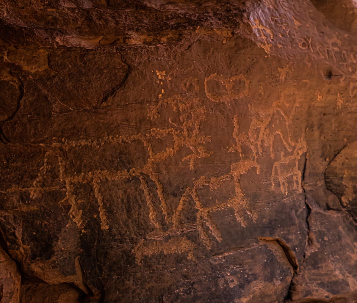 rock carvings depicting an animal found in wadi rum desert