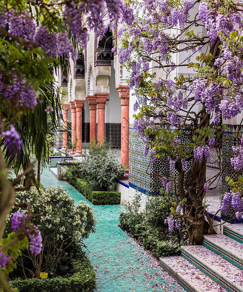 a courtyard of a mosque covered with purple wisteria flowers and beautiful tiles