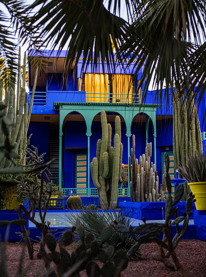 The image showcases the vibrant blue exterior of the iconic Jardin Majorelle in Marrakech, framed by tall cacti and desert plants. The building features a rich cobalt hue, accented with green arches and yellow curtains that glow softly through the windows. The surrounding greenery and architectural design create a striking contrast, capturing the garden's lush yet structured ambiance.






