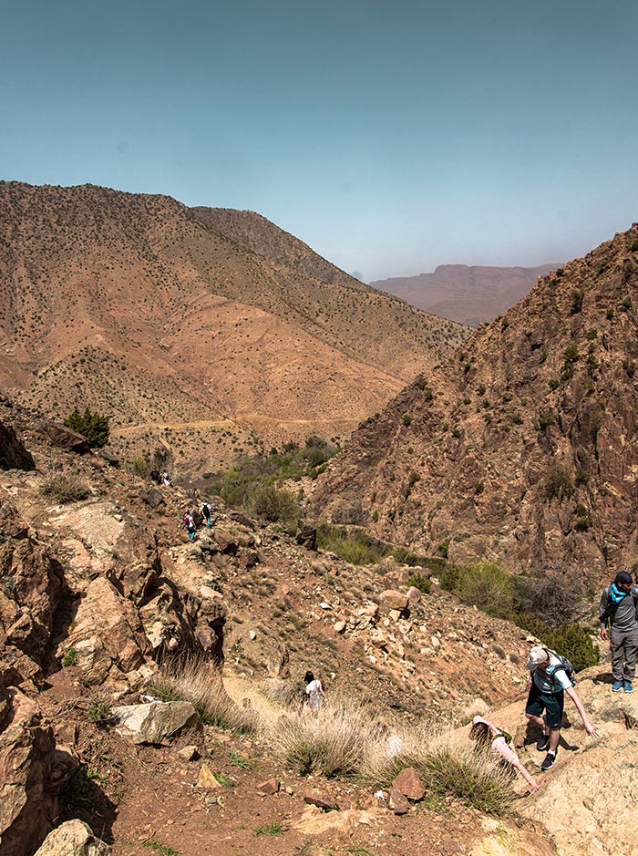 The image shows hikers traversing a rugged trail in the Ourika Valley, nestled within the Atlas Mountains of Morocco. The landscape features rocky terrain, sparse vegetation, and expansive views of dry, rolling hills under a clear blue sky. The scene highlights the adventurous spirit of trekking through this remote and scenic mountain region.






