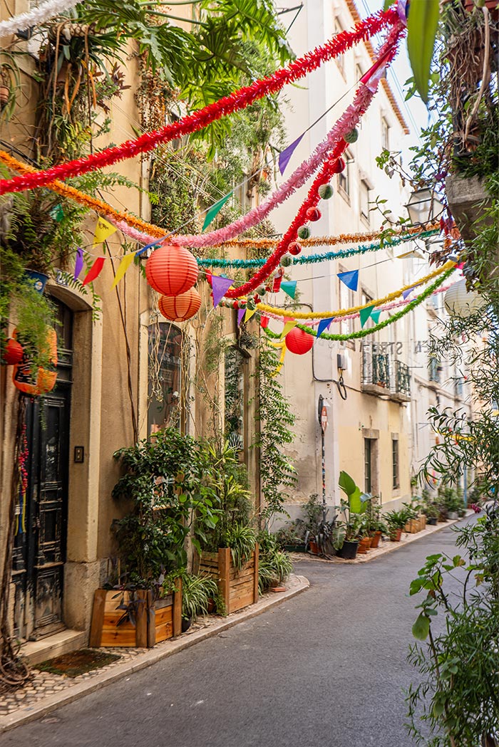 street covered with plants, colourful lanterns and various decorations
