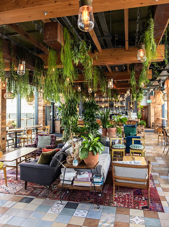 The interior of The Nest Rooftop Bar in London, featuring cozy seating arrangements, vibrant decor, and abundant greenery. The space is filled with natural light and decorated with hanging plants, wooden beams, and eclectic furnishings, creating a warm and inviting atmosphere.