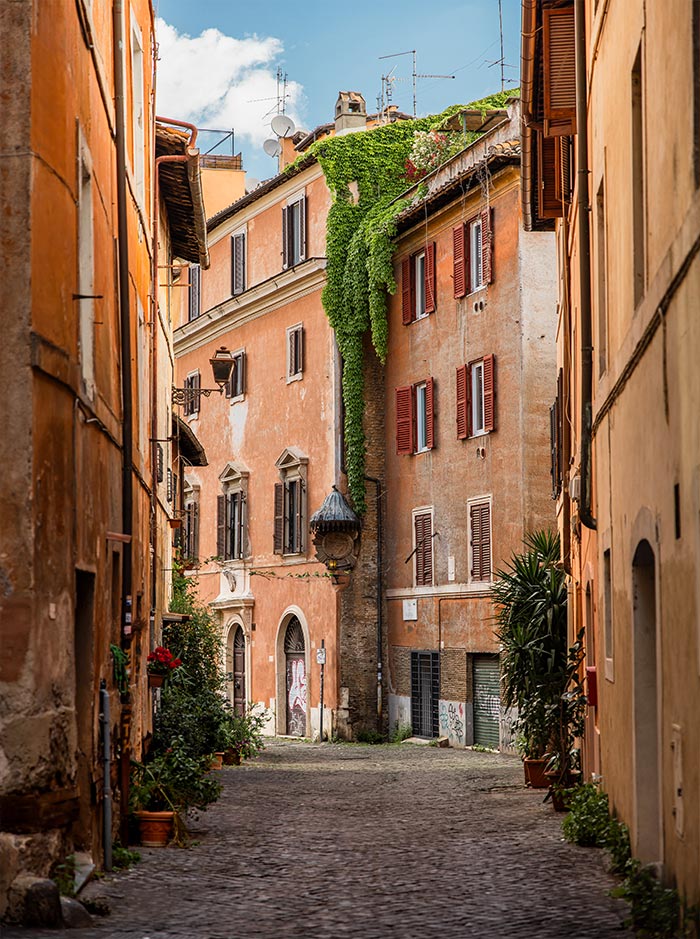 beautiful street in rome covered in vines