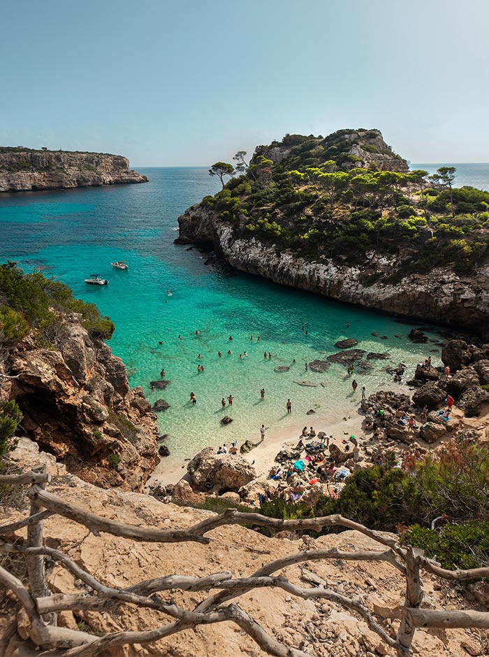A stunning view of Caló des Moro in Mallorca, showcasing a secluded beach surrounded by rugged cliffs and lush greenery. The crystal-clear turquoise waters are filled with swimmers, while sunbathers relax on the sandy shore below. The natural beauty and tranquility of this hidden gem are highlighted by the dramatic landscape and inviting sea.