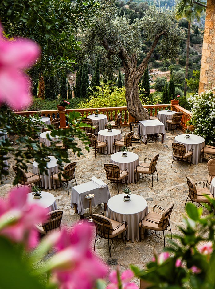 An elegant outdoor dining area at El Olivo at La Residencia in Mallorca showcases round tables draped with white tablecloths and paired with cushioned chairs. The setting is nestled amidst lush greenery and ancient olive trees, with vibrant pink flowers framing the view. The stone-paved terrace offers a serene and picturesque ambiance, perfect for enjoying a meal while surrounded by the natural beauty of the mountainous landscape in the background.