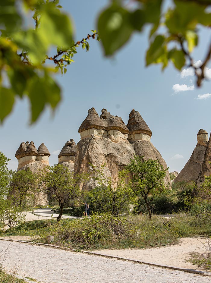 The unique fairy chimney rock formations of Pasabag Valley in Cappadocia, Turkey, surrounded by greenery and a cobblestone path, with a couple walking in the background under a clear blue sky.