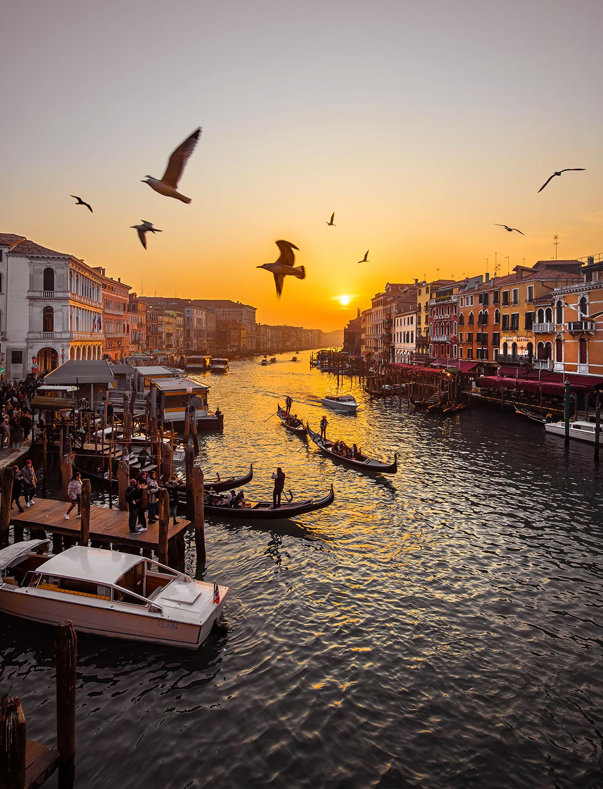 Venice City Guide: The best 11 things to do in Venice