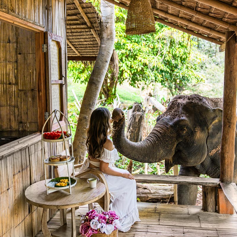 A rustic wooden veranda featuring a woman in a white dress interacting with an elephant. A small table beside her holds a tiered tray with fruit and snacks, adding a charming touch to the scene. The lush greenery in the background and the traditional bamboo construction create a serene, nature-immersed setting.






