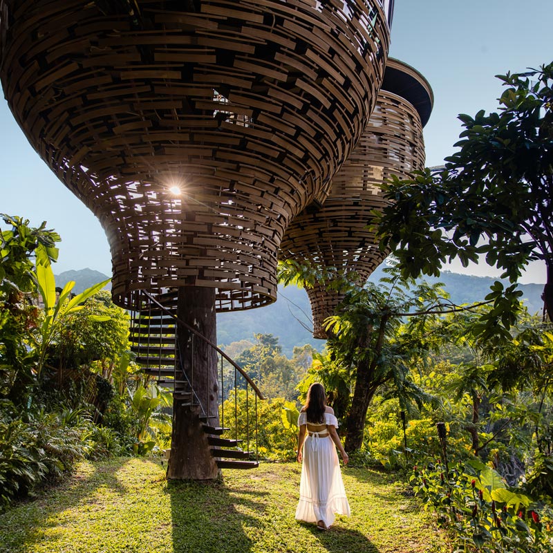 A woman in a white dress walks toward unique treehouse-style structures elevated above the lush, tropical landscape. The woven, basket-like design of the buildings and the spiral staircase add an artistic touch to the natural surroundings. Sunlight filters through the greenery, highlighting the serene, mountainous backdrop and creating a magical, secluded atmosphere.






