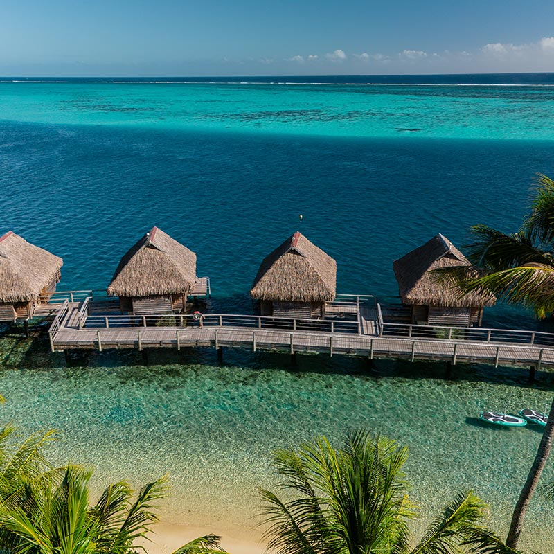 An aerial view of overwater bungalows at Manava Beach Resort & Spa Moorea, situated over crystal-clear waters with varying shades of blue. The thatched-roof bungalows are connected by wooden walkways, and the scene includes lush palm trees and a sandy beach. The vibrant marine colors and serene setting highlight the tropical beauty of this island paradise.






