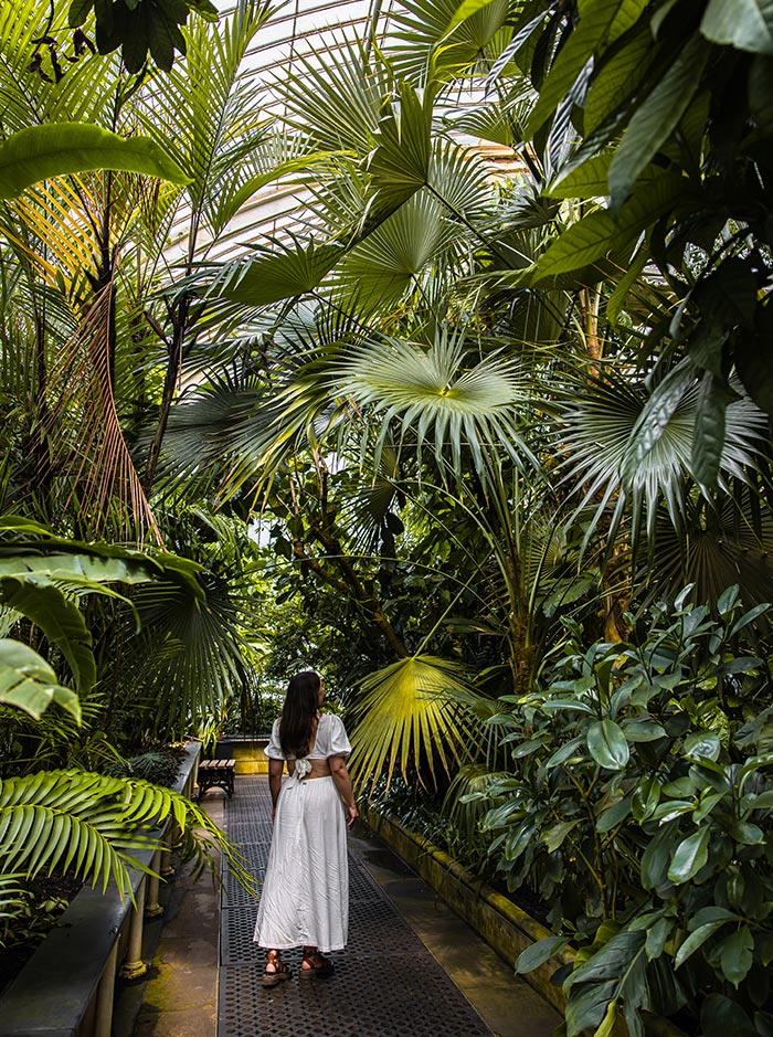 A woman in a white dress walks through a lush, tropical greenhouse filled with a variety of large, green palm leaves and plants at Kew Gardens' Palm House in London. The greenhouse's arched glass ceiling is visible above the dense foliage.
