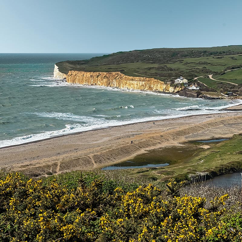 A scenic view of the rugged coastline at Seven Sisters, featuring dramatic white chalk cliffs and the turbulent sea below. The shoreline includes a pebble beach and coastal vegetation with yellow gorse in the foreground. The rolling green hills and a few scattered houses add to the natural beauty and tranquility of the landscape.






