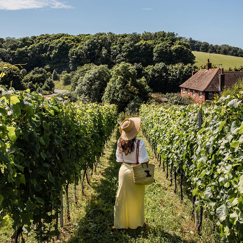 A woman wearing a white blouse, a yellow skirt, and a straw hat walks through a lush vineyard at Wiston Estate. The scene is set against a backdrop of rolling hills and dense green forests, with a charming red-brick house visible in the distance. The clear blue sky and verdant rows of grapevines create a picturesque and serene countryside atmosphere.






