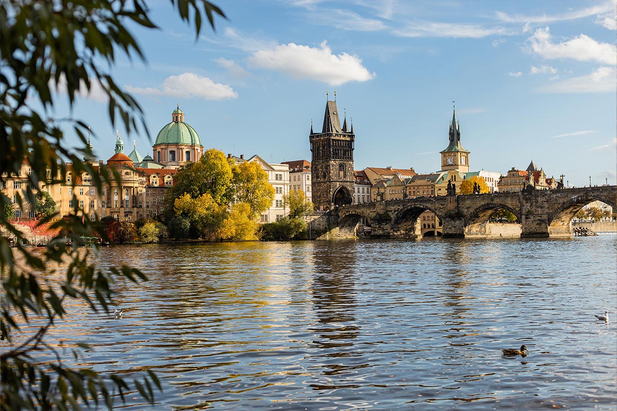 This image captures the iconic Charles Bridge in Prague, spanning the Vltava River under a clear blue sky. The historic bridge, with its Gothic towers and statues, is framed by the vibrant autumn foliage on the riverbank. In the background, the green dome of the Church of St. Francis of Assisi and the tower of the Old Town Bridge Tower rise prominently among the surrounding architecture. The calm waters of the river reflect the scene, adding to the picturesque and serene atmosphere of this famous landmark.