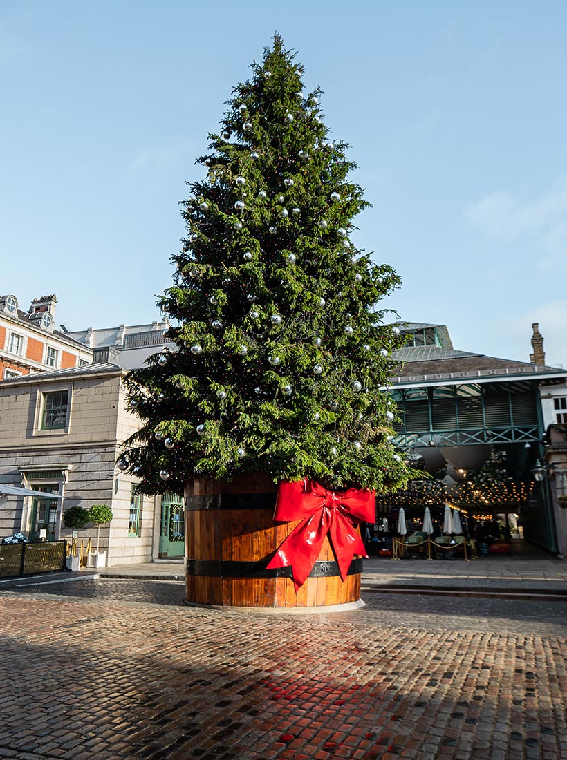 This image features a large Christmas tree in Covent Garden, London, beautifully decorated with silver ornaments. The tree is placed in a large wooden barrel adorned with a bright red bow, adding to the festive display. The scene is set on a cobblestone square, with buildings and outdoor seating areas visible in the background, bathed in natural daylight, creating a classic holiday ambiance.