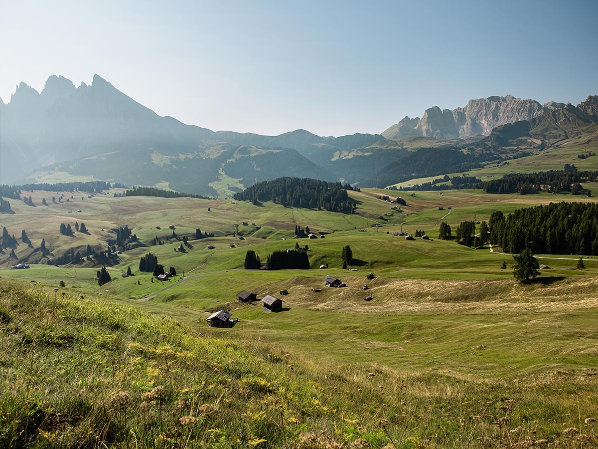 This image features a sweeping view of the expansive meadows and rolling hills of Alpe di Siusi (Seiser Alm) in the Dolomites. Scattered wooden huts dot the vast landscape, framed by forested areas and the towering silhouettes of the Dolomite mountains in the distance. The bright, clear sky and sunlight highlight the peaceful, pastoral setting, showcasing the natural beauty and tranquility of this high-altitude plateau.