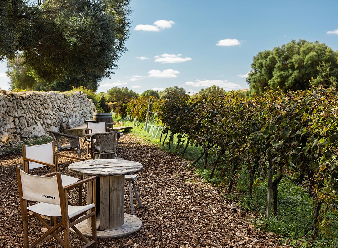 The image shows an outdoor seating area at Bodegas Binifadet Winery in Menorca, set alongside a row of lush grapevines. Wooden spool tables and rustic chairs are arranged on a ground covered with bark mulch, providing a relaxed spot for visitors to enjoy the vineyard views. A traditional dry stone wall and mature trees frame the scene, while the clear blue sky with scattered clouds adds to the serene countryside atmosphere.