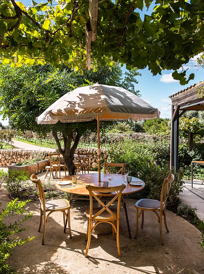 The image features an inviting outdoor dining area at Bodegas Binifadet Winery's restaurant in Menorca. A round wooden table with chairs is set beneath a large umbrella, providing shade amidst the greenery. Surrounding grapevines and lush plants create a tranquil atmosphere, while a stone pathway and traditional dry stone walls add rustic charm. The scene is bright with natural light, offering a picturesque view of the vineyard landscape.