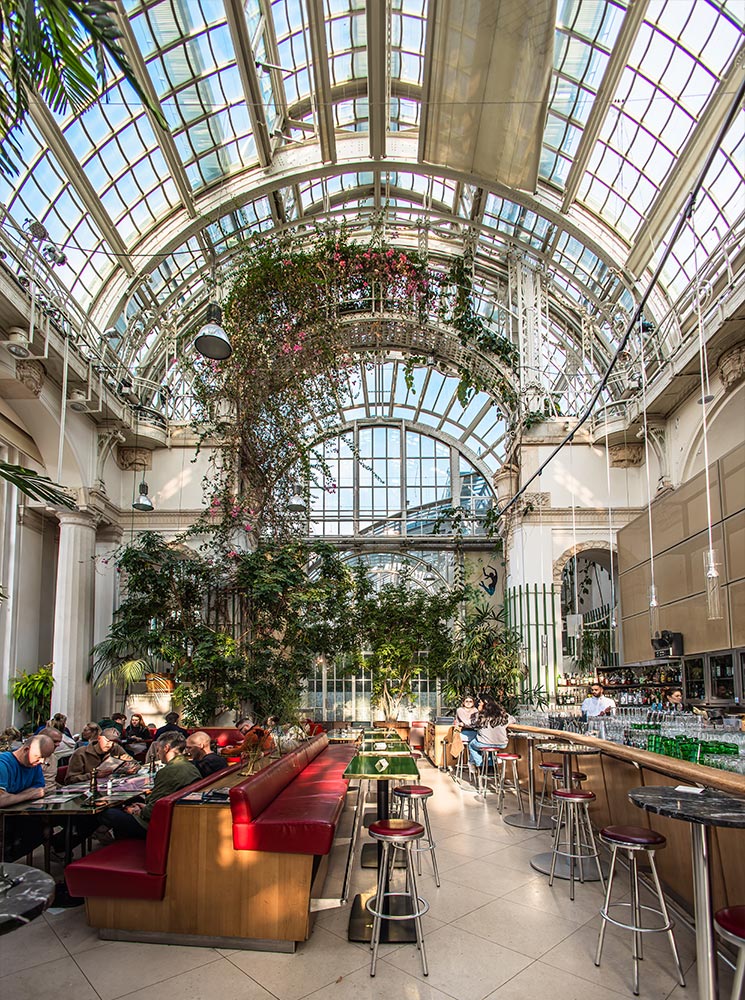 This image showcases the interior of Brasserie Palmenhaus in Vienna, with its impressive glass-domed ceiling that fills the space with natural light. Lush greenery and climbing plants create a greenhouse ambiance, complemented by red leather seating and a modern bar area with metal stools. The open, airy environment merges botanical beauty with a relaxed dining experience, making it a unique spot in the heart of the city.