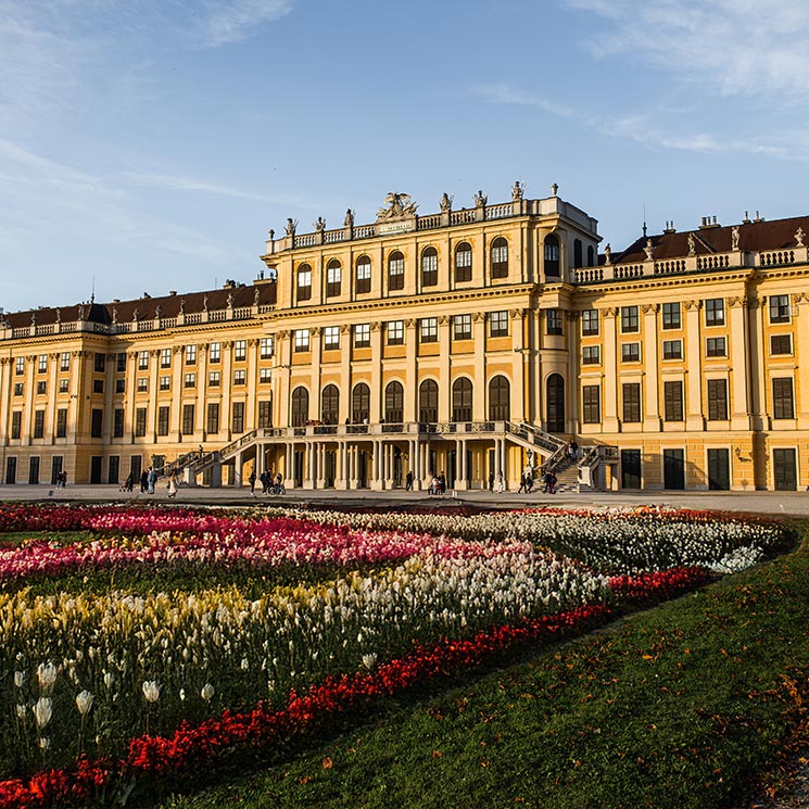 This image showcases the Schönbrunn Palace in Vienna bathed in warm sunlight, with its grand yellow façade standing majestically against the clear sky. In the foreground, beautifully arranged flower beds in vibrant shades of red, pink, yellow, and white add a touch of natural elegance to the palace grounds. The scene highlights the historical opulence and meticulously maintained gardens of this iconic Austrian landmark.