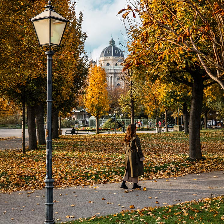 This image shows a serene autumn scene in Vienna's Volksgarten, with trees showcasing vibrant yellow and orange leaves and a path covered in fallen foliage. A woman in a green coat walks along the path, adding a contemplative feel to the scene. In the background, the dome of the Kunsthistorisches Museum rises above the trees, blending nature and Vienna's historic architecture in a picturesque setting.