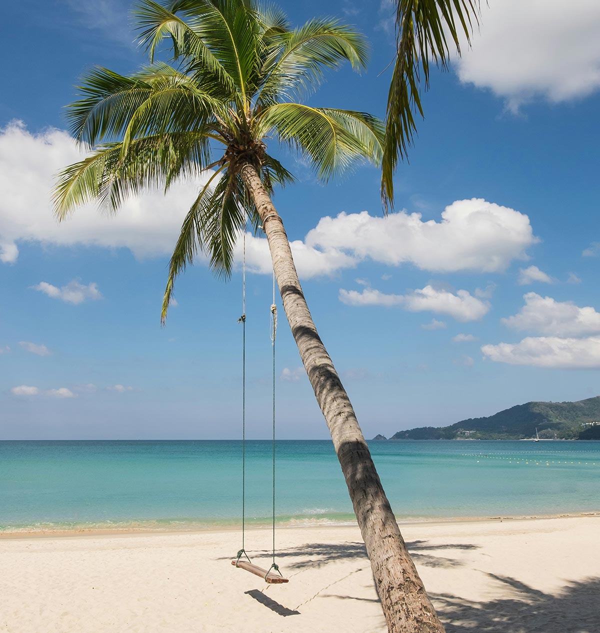 A serene tropical beach with a leaning palm tree featuring a swing attached, overlooking turquoise waters and a clear blue sky with scattered clouds. A distant hilly shoreline adds to the idyllic setting.