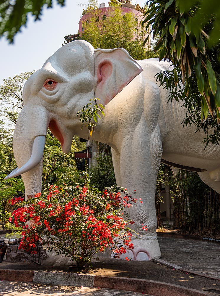 This image features a large white elephant statue at Wat Sam Phran in Bangkok, surrounded by lush greenery and vibrant red flowers in the foreground. The intricate details of the elephant's face and its serene posture evoke a sense of cultural significance and reverence. The pink cylindrical temple wrapped by a dragon is visible in the background, adding depth and context to the scene.