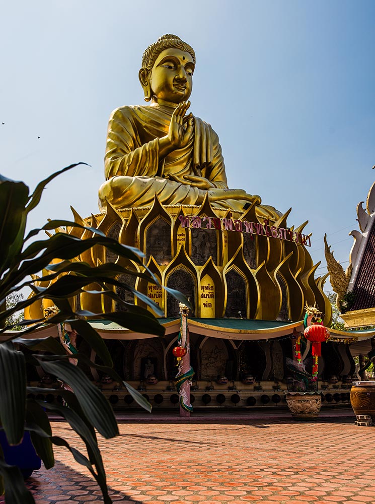 This image features a giant golden Buddha statue seated atop a lotus-shaped base at Wat Sam Phran in Bangkok, Thailand. The intricate lotus petals surround the base, and the serene Buddha is depicted in a blessing posture under the bright blue sky. The foreground includes leafy plants, adding depth and a sense of tranquility to the scene.