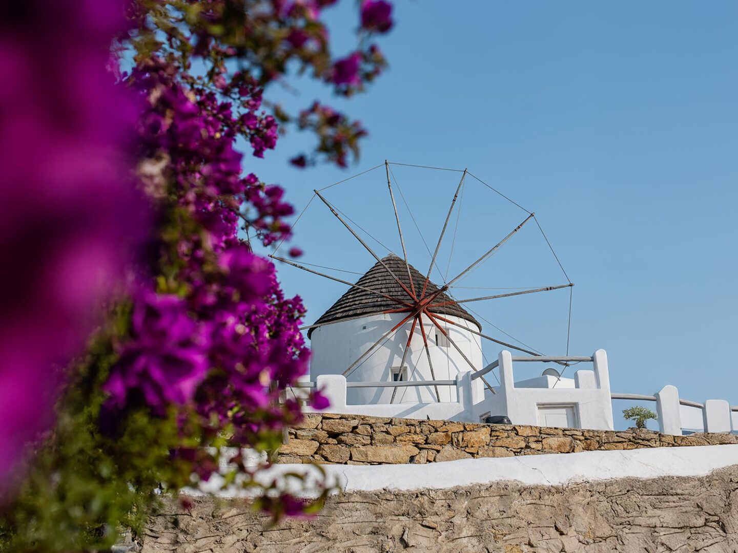 A traditional white windmill with a thatched roof in Mykonos, framed by vibrant purple bougainvillea against a clear blue sky. The stone wall and whitewashed architecture add to the charm of this iconic Cycladic island view.