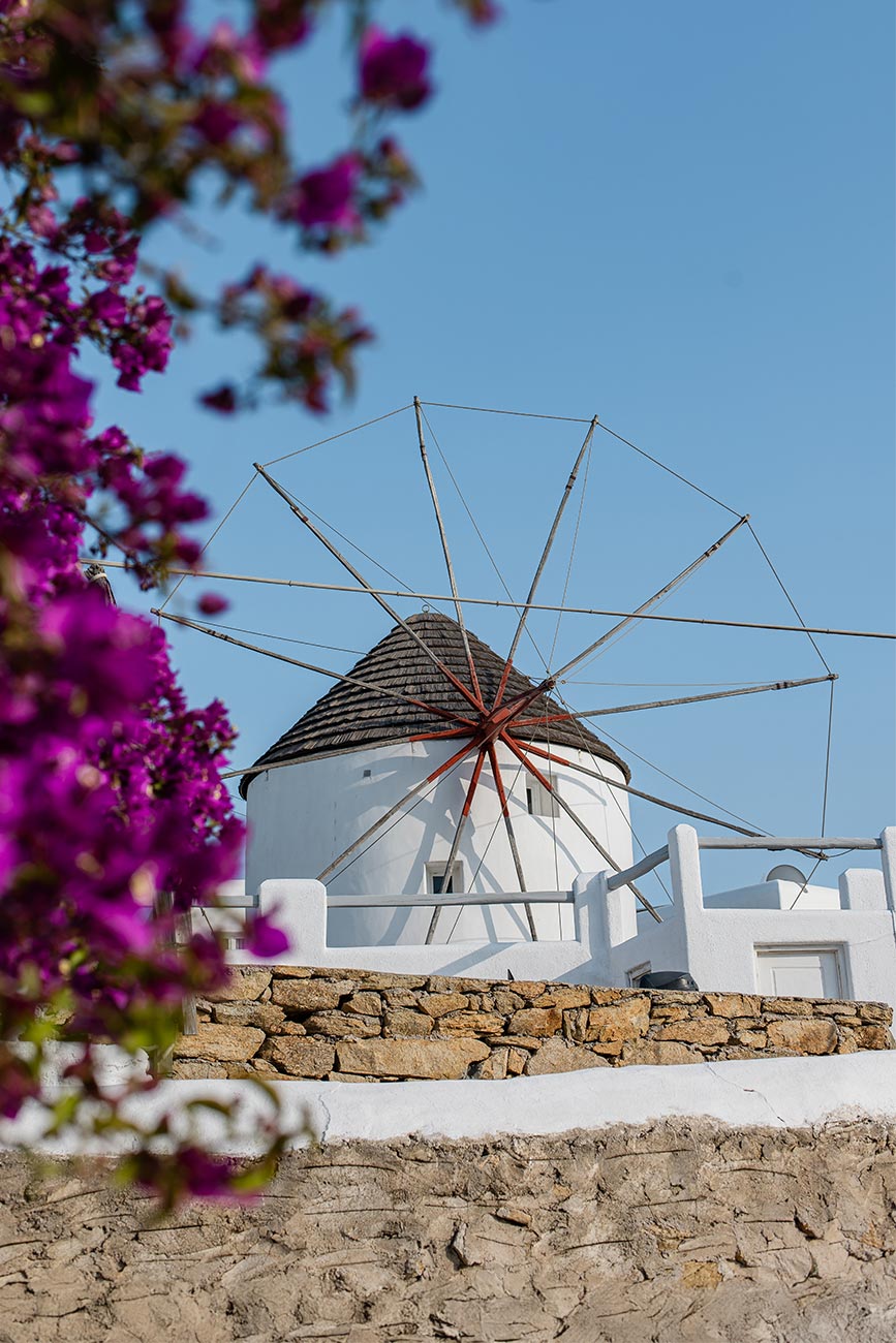 A traditional white windmill with a thatched roof in Mykonos, framed by vibrant purple bougainvillea against a clear blue sky. The stone wall and whitewashed architecture add to the charm of this iconic Cycladic island view.