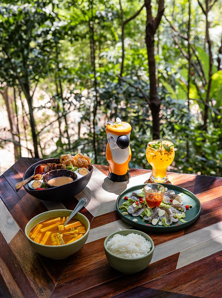 This image showcases a vibrant spread of Thai-inspired dishes served on a wooden table in an outdoor setting surrounded by lush greenery. The meal includes a bowl of curry, steamed rice, fresh seafood with sauce, a variety of appetizers, and two colorful tropical drinks, one in a parrot-shaped cup. The presentation combines culinary creativity with a scenic, nature-filled dining experience.