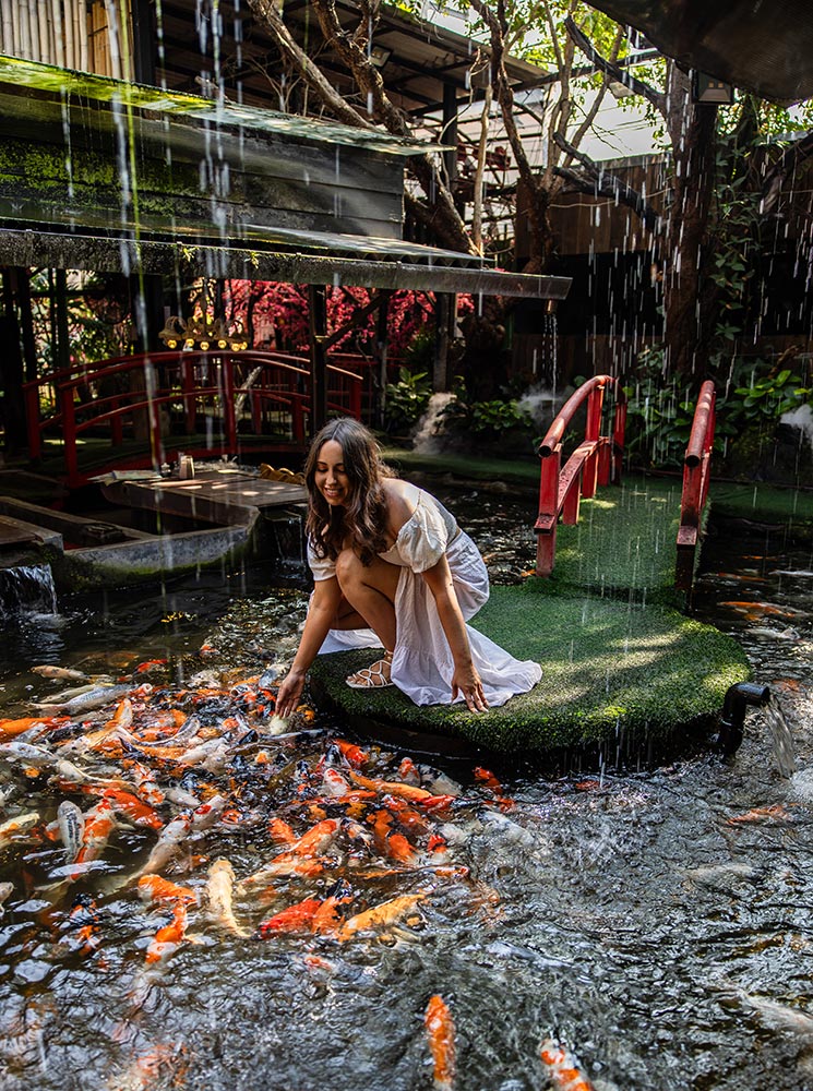 A woman in a flowing white dress crouches on a moss-covered platform, smiling as she reaches out to feed a vibrant swarm of koi fish in a tranquil pond. A red wooden bridge and lush greenery create a serene backdrop, while gentle streams of water fall from above, adding to the peaceful ambiance. The setting, likely at a koi café, blends nature, relaxation, and traditional Asian aesthetics.