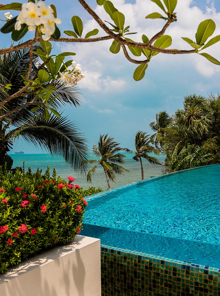 A serene infinity pool overlooks the turquoise ocean, surrounded by lush tropical greenery and swaying palm trees. Frangipani flowers and vibrant red blossoms frame the tranquil scene under a bright blue sky.