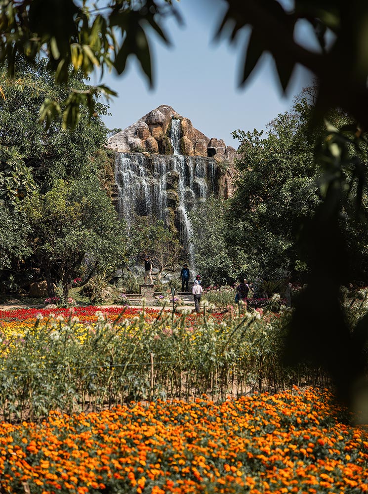 A cascading waterfall flows down rugged rocks, surrounded by lush greenery, with a colorful flower field in the foreground. Vibrant orange, yellow, and red blooms create a stunning contrast against the natural landscape. Visitors stroll through the park, enjoying the peaceful atmosphere and scenic beauty of this idyllic location.