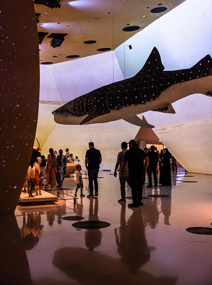 Visitors explore an immersive exhibit at the National Museum of Qatar, where a life-sized model of a whale shark is suspended from the ceiling. The dimly lit space features interactive displays, cultural artifacts, and large projection screens that enhance the experience. The reflections on the glossy floor and the crowd's engagement create a dynamic and educational atmosphere.